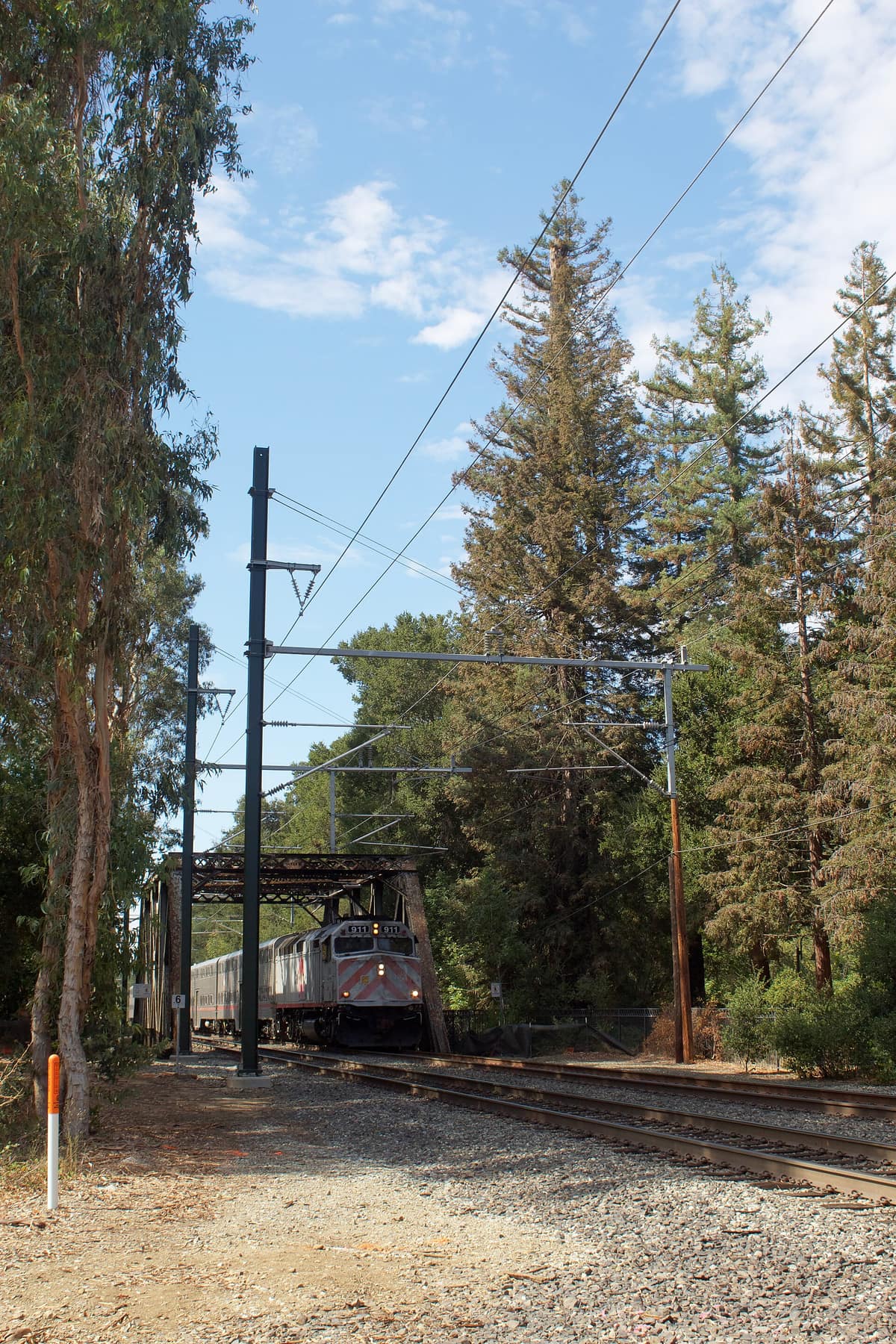 El Palo Alto, the city's namesake redwood, beside the Caltrain tracks