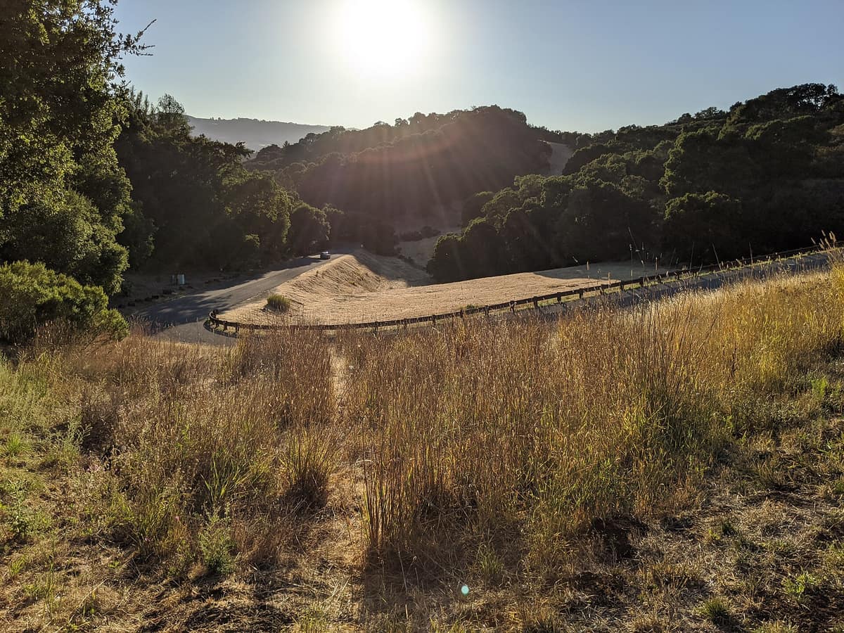 Golden grass and oak-covered hills in Foothills Nature Preserve