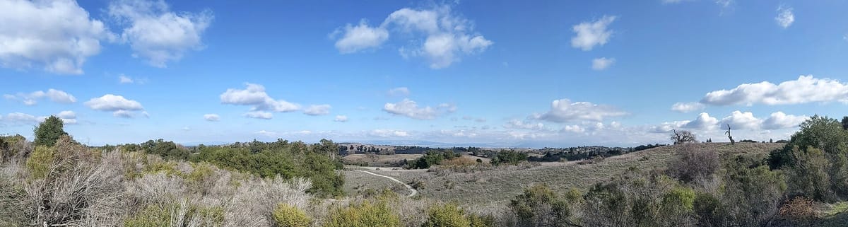 Rolling grassland and oaks in Pearson-Arastradero Preserve