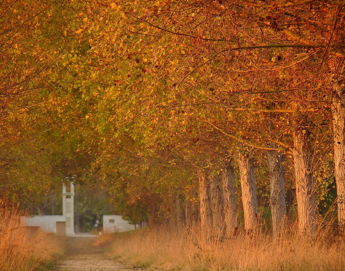 The Baylands in autumn