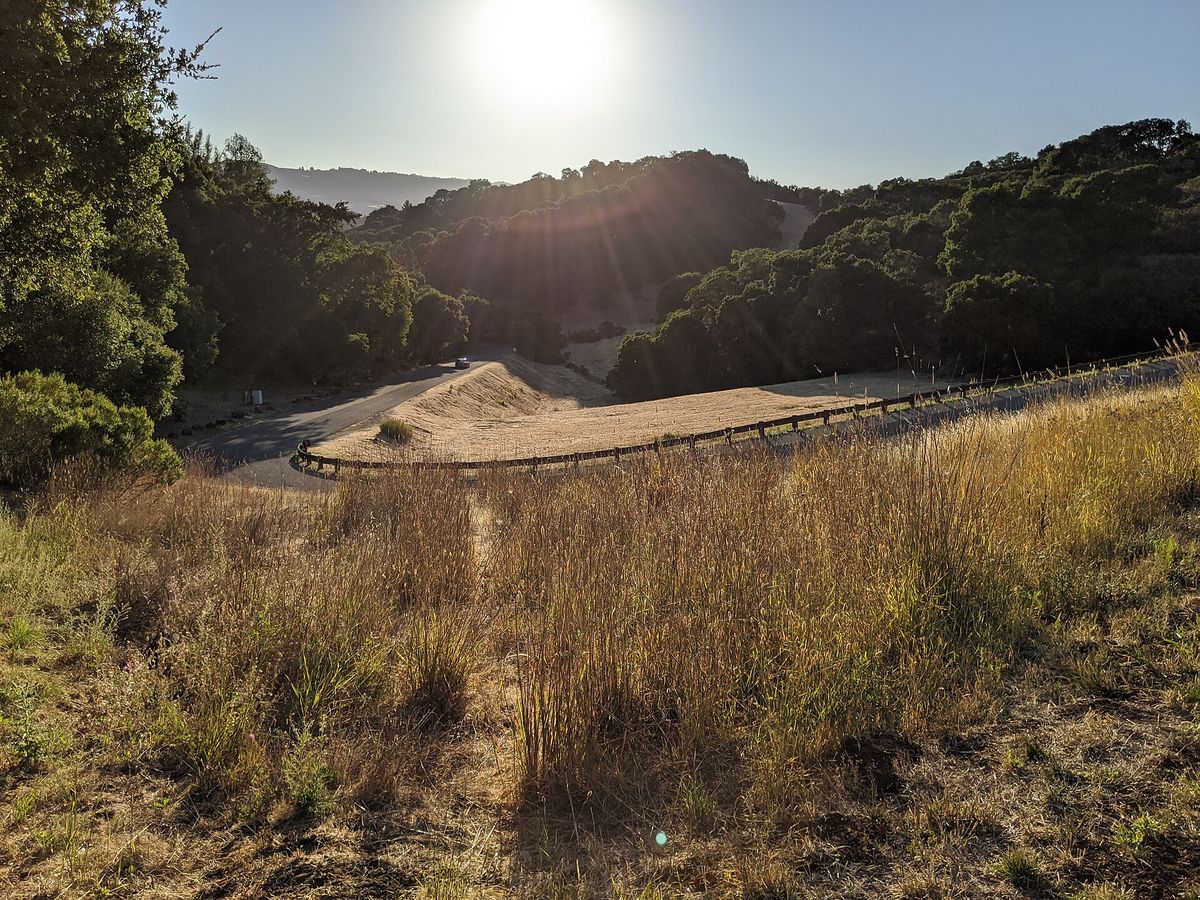 Golden grass and oak-covered hills in Foothills Nature Preserve