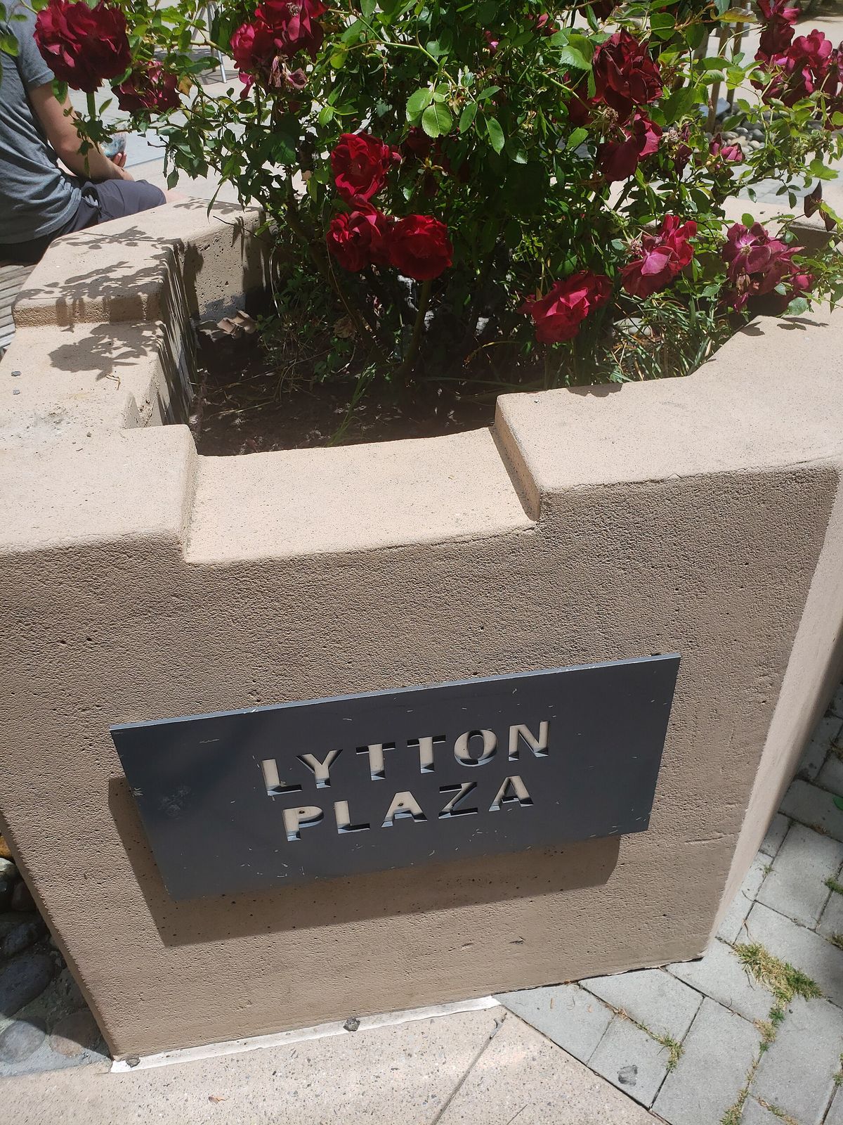 Lytton Plaza on University Avenue at Emerson Street