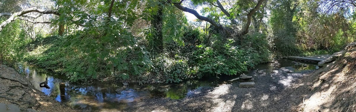 Matadero Creek running beside Bol Park