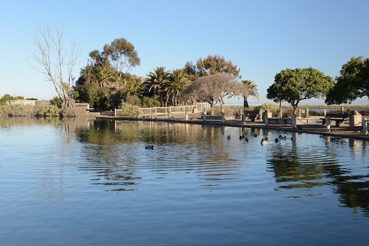 The Palo Alto Duck Pond in the Baylands