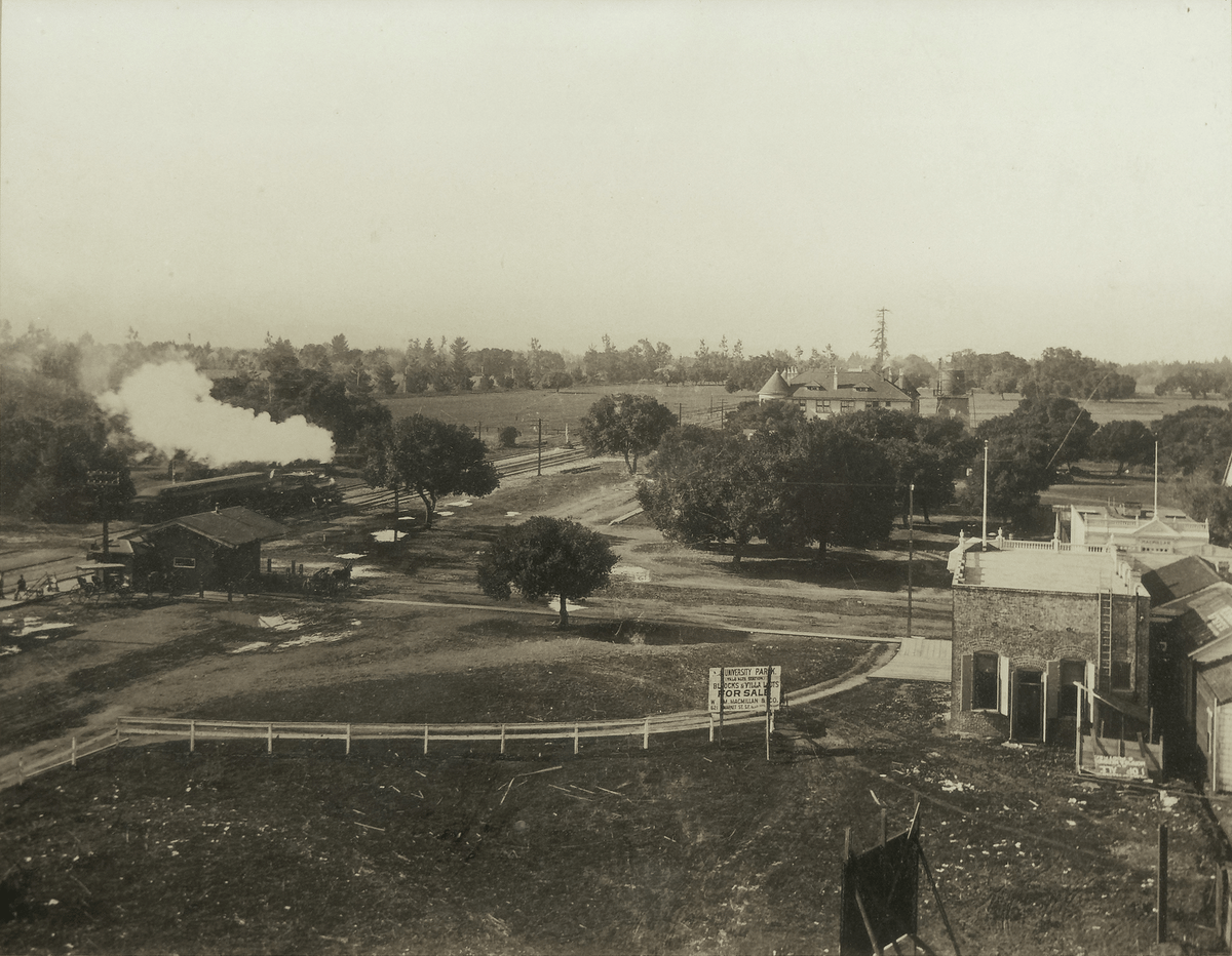 University Avenue in 1894, looking toward El Palo Alto